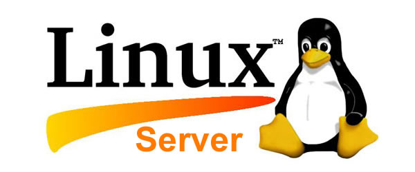 linux server